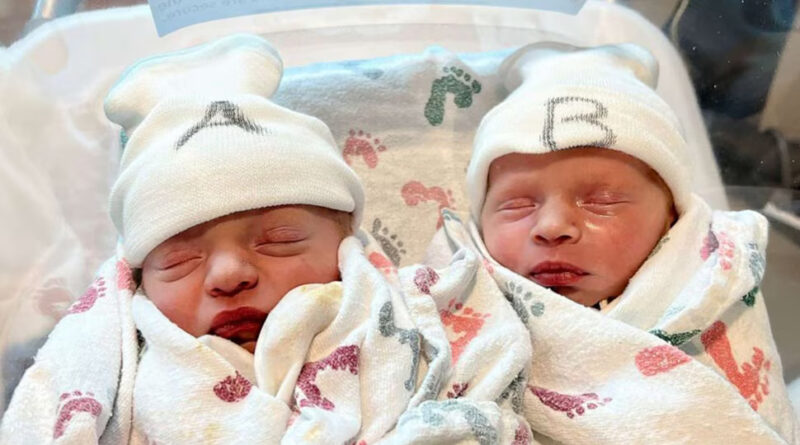 ಅವಳಿ ಮಕ್ಕಳು ಹುಟ್ಟುವುದು ಹೇಗೆ ಗೊತ್ತಾ? ಇಲ್ಲಿದೆ ನೋಡಿ ಶೇ.99ರಷ್ಟು ಜನರಿಗೆ ತಿಳಿದಿರದ ಟಾಪ್‌ ಮಾಹಿತಿ